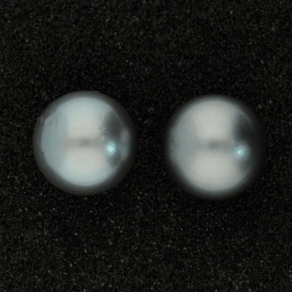 13mm Tahitian Pearl Pale Blue 14ct Stud Earrings