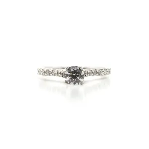 14k White Gold Shared Prong Engagement Ring