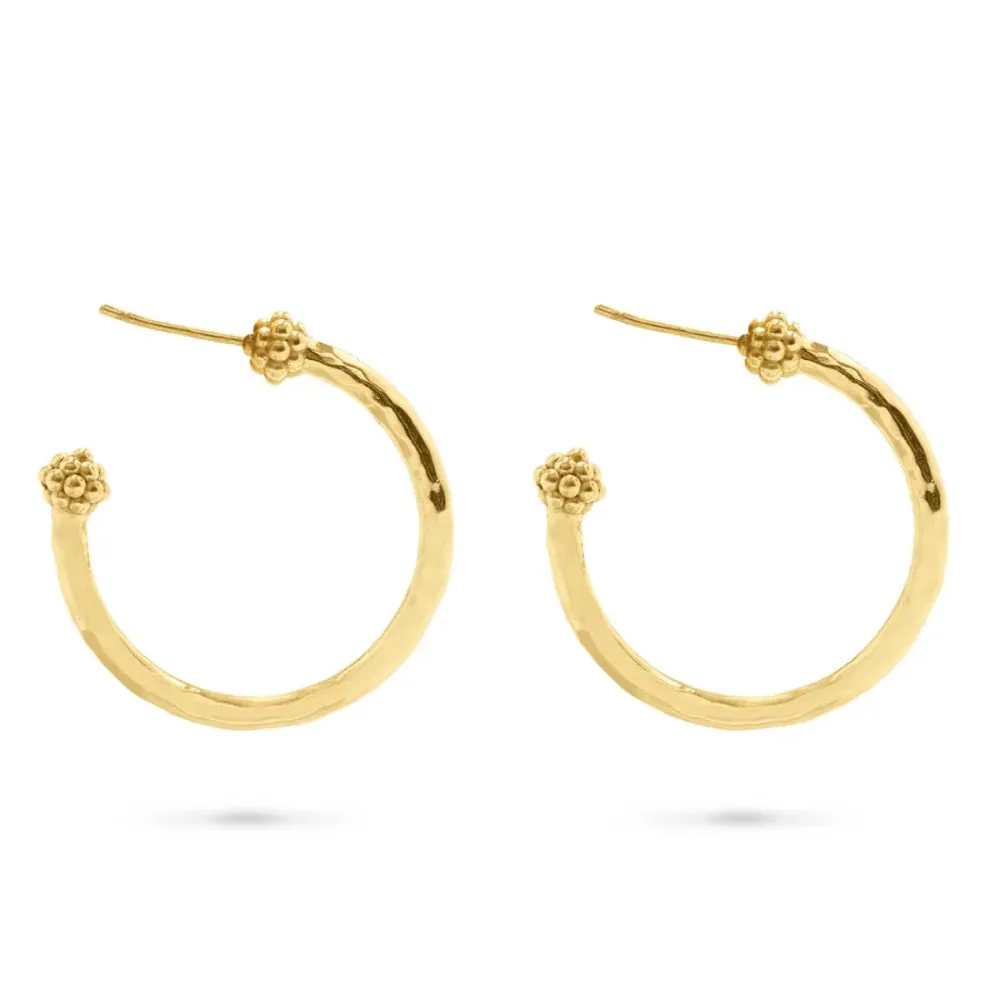 Berry Slice Medium Hoop Earrings - Gold