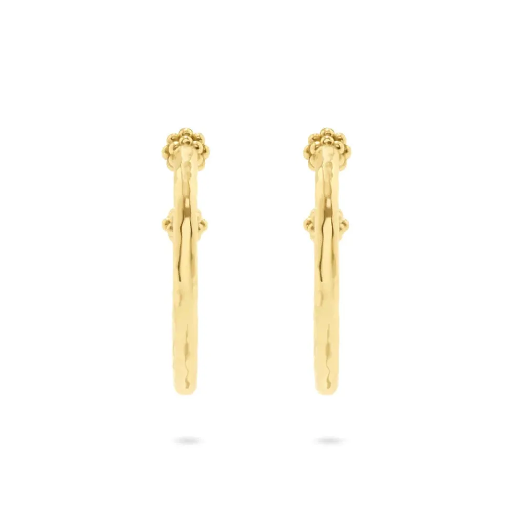 Berry Slice Medium Hoop Earrings - Gold