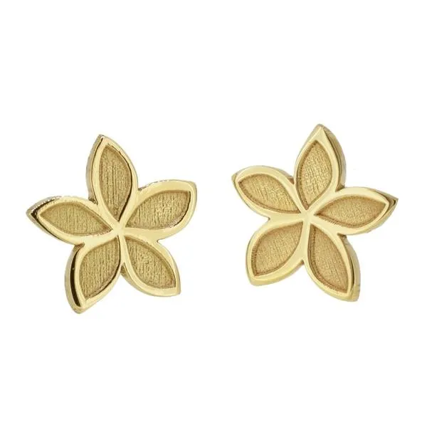 Boucles d'oreilles fleur de frangipanier en or jaune