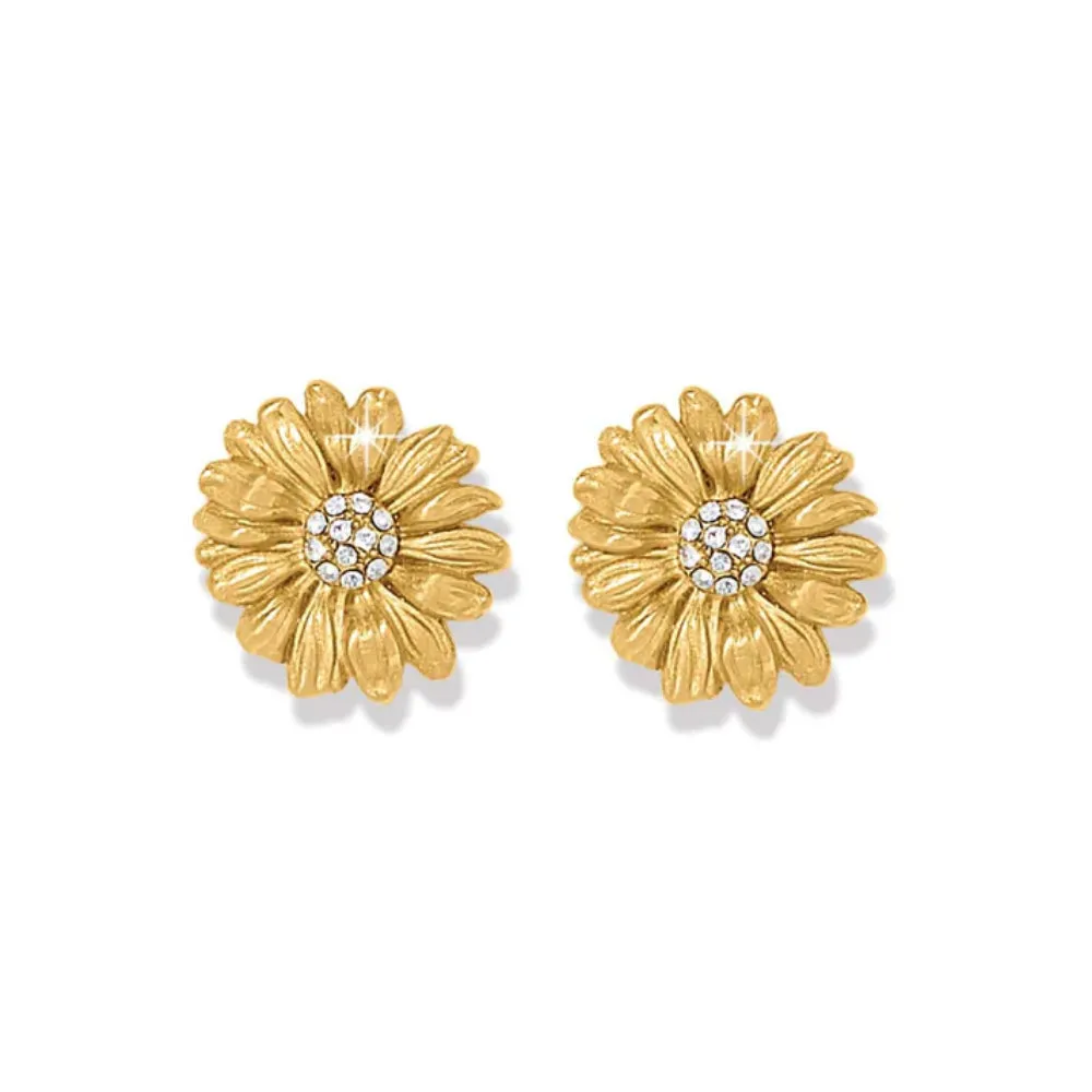 Brighton Daisy Dee Post Earrings