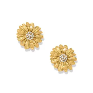 Brighton Daisy Dee Post Earrings