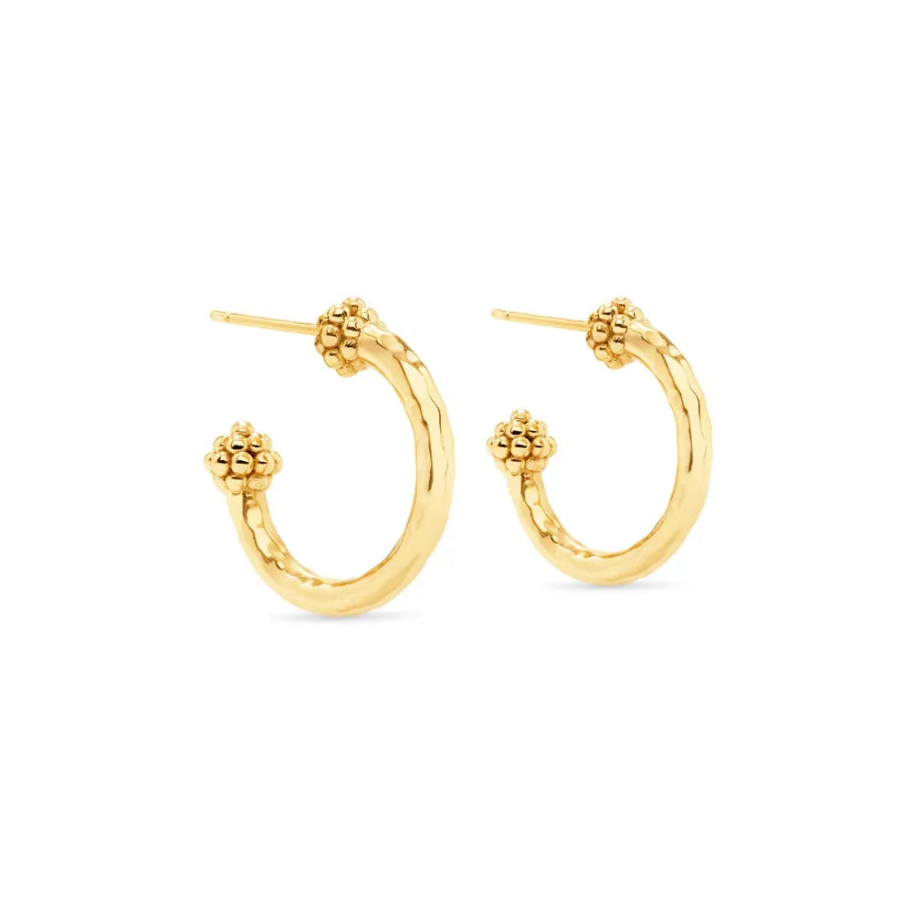 Capucine de Wulf Berry Slice Small Hoop Earrings - Gold