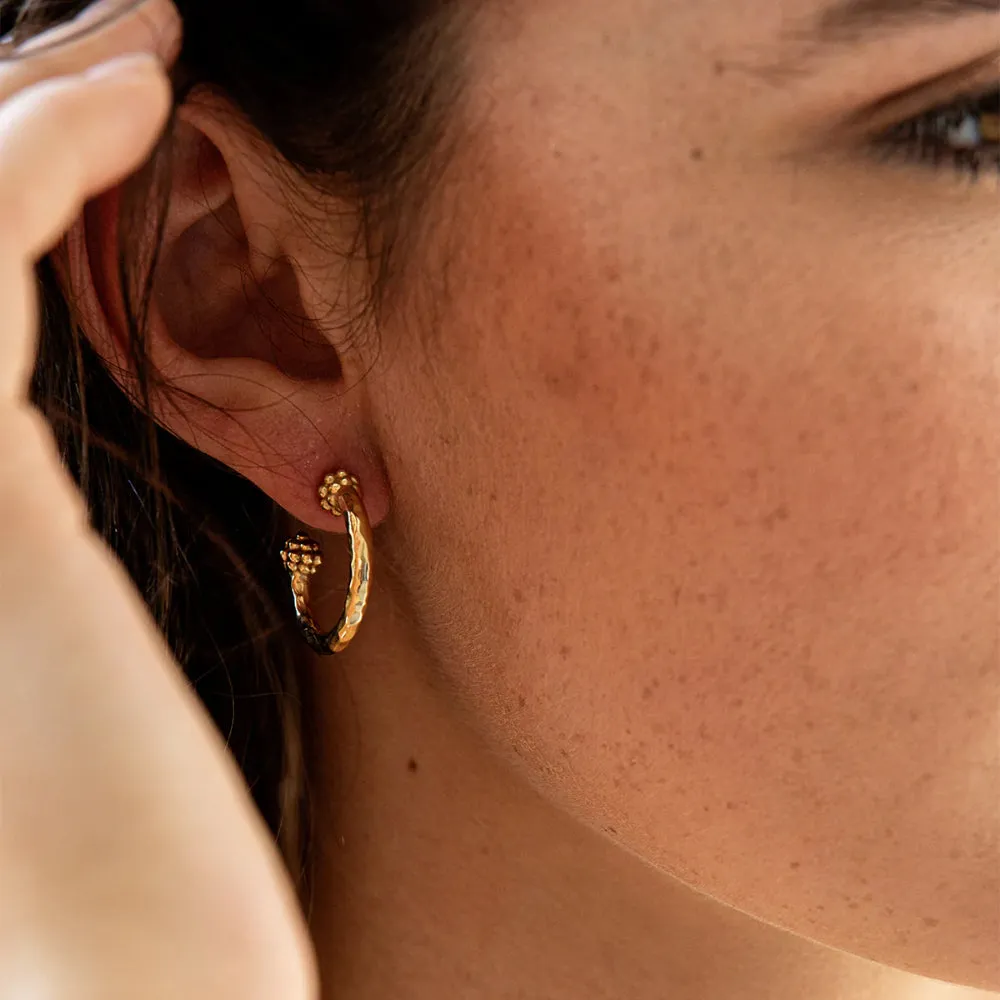 Capucine de Wulf Berry Slice Small Hoop Earrings - Gold