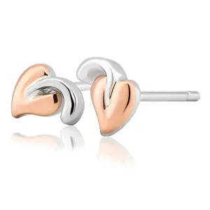 Clogau Tree of Life Stud Earrings - 3STOLSE03