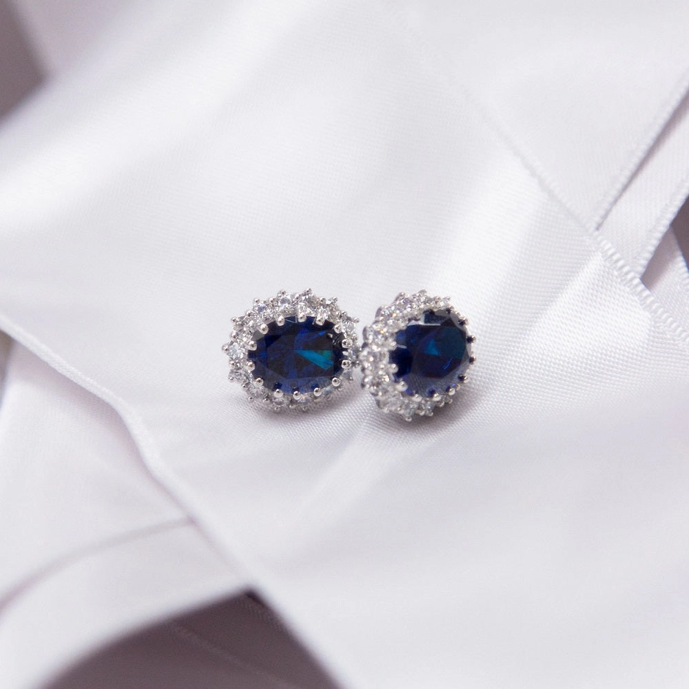 Diamonfire Sterling Silver Blue Cubic Zirconia Earrings E5586