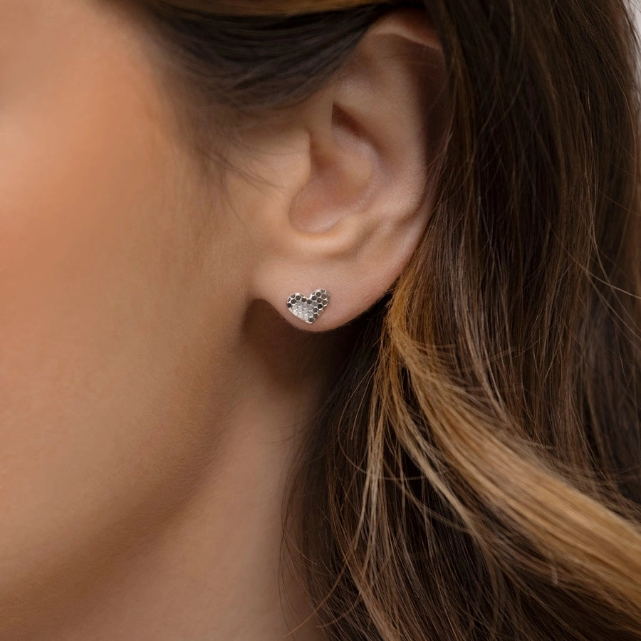 Radley Sterling Silver Stud Earring Set RYJ1433