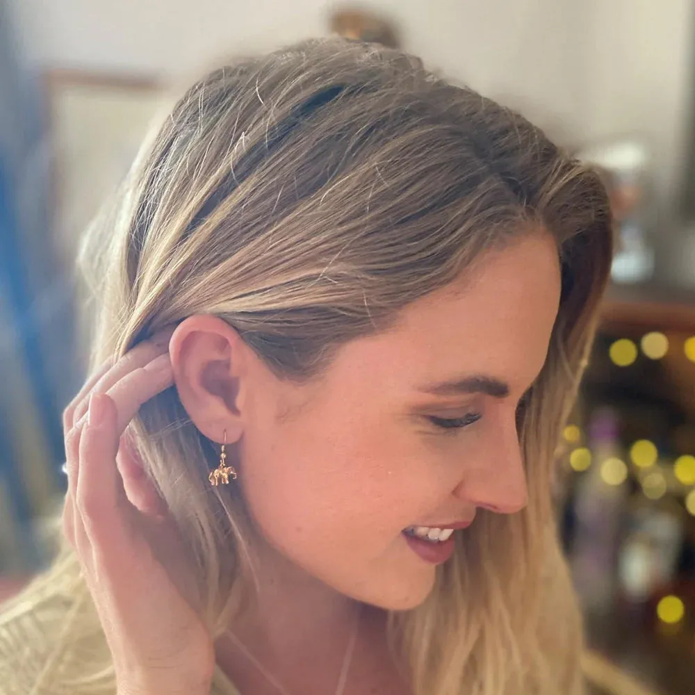 Reeves & Reeves Silver Elephant Earrings BB150EA