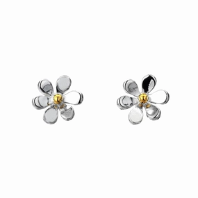 Silver Origins Summer Daisy Stud Earrings