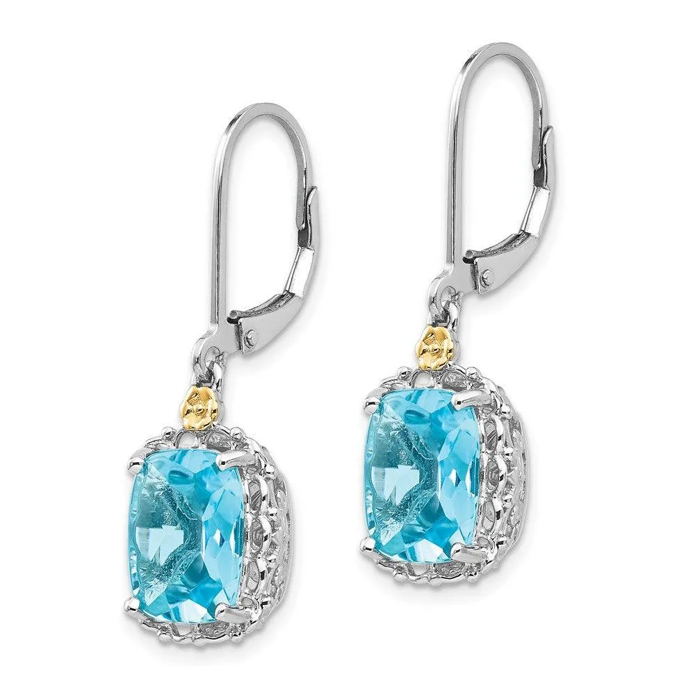 Sterling Silver w/14k Blue Topaz Earrings