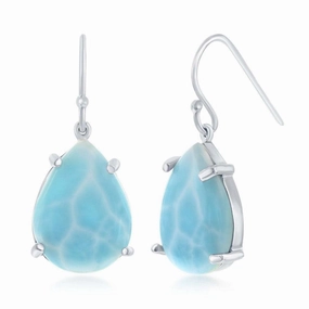 Sterling Silver Fish hook Earrings