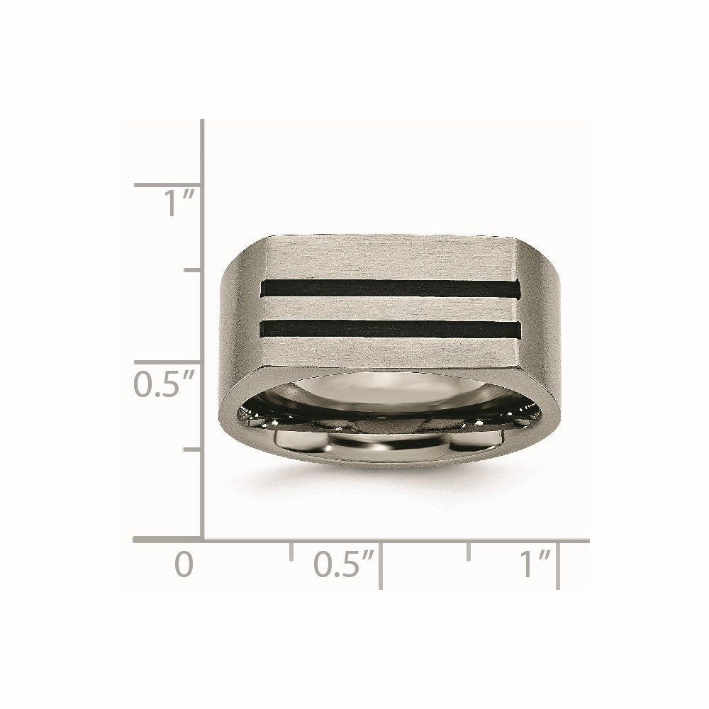 Titanium 10mm Black Enamel Stripes Brushed Band | TB250