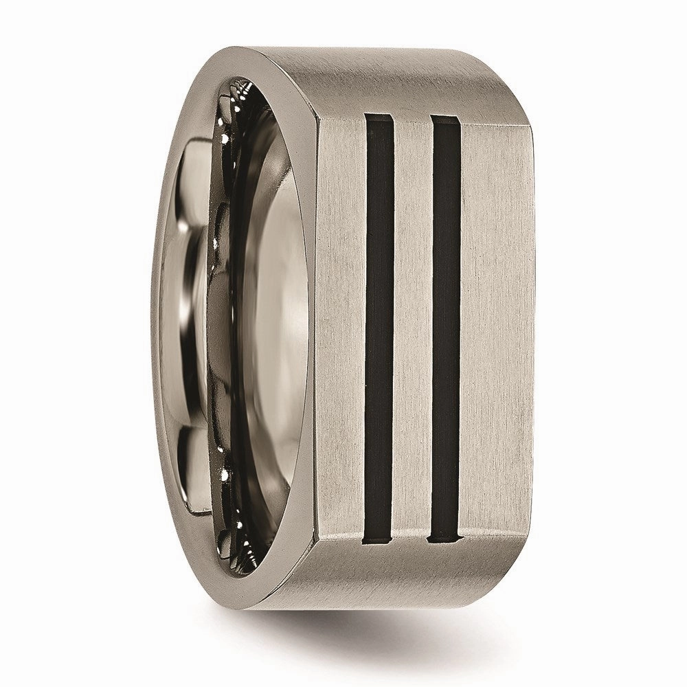 Titanium 10mm Black Enamel Stripes Brushed Band | TB250