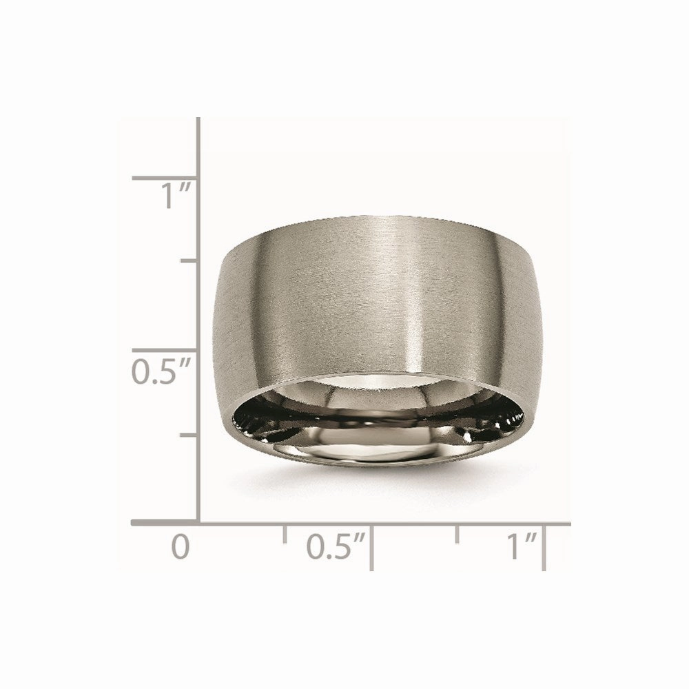Titanium 12mm Brushed Band | TB116