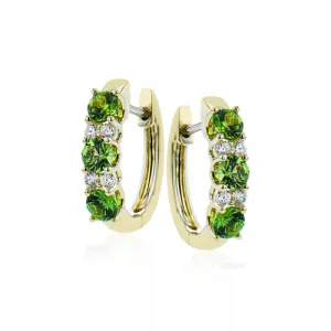 Zeghani Earrings Ze728-y