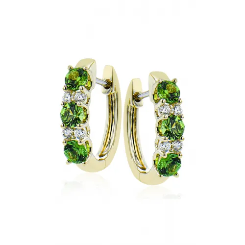Zeghani Earrings Ze728-y