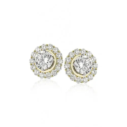 Zeghani Earrings Ze843