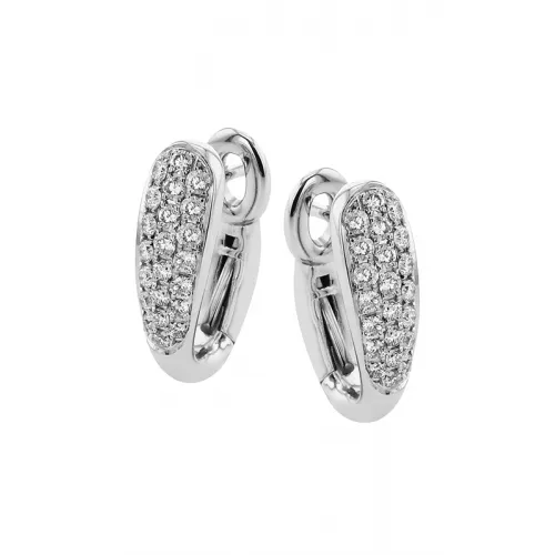 Zeghani Earrings Ze856
