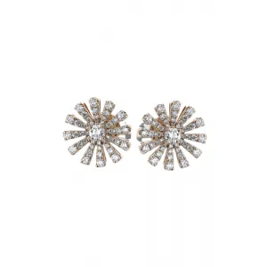 Zeghani Earrings Ze861