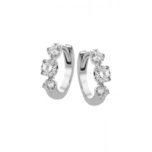 Zeghani Earrings Ze872